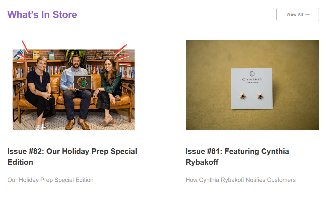 تصنيف What's In Store في أكاديمية MailChimp